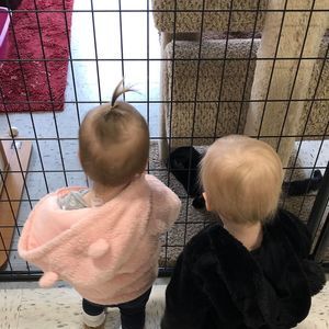 Meet your Posher, Jo